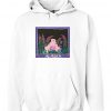 Alaska Hoodie RF