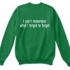 I Cant Remember What I Forgot to Forget Sweatshirt